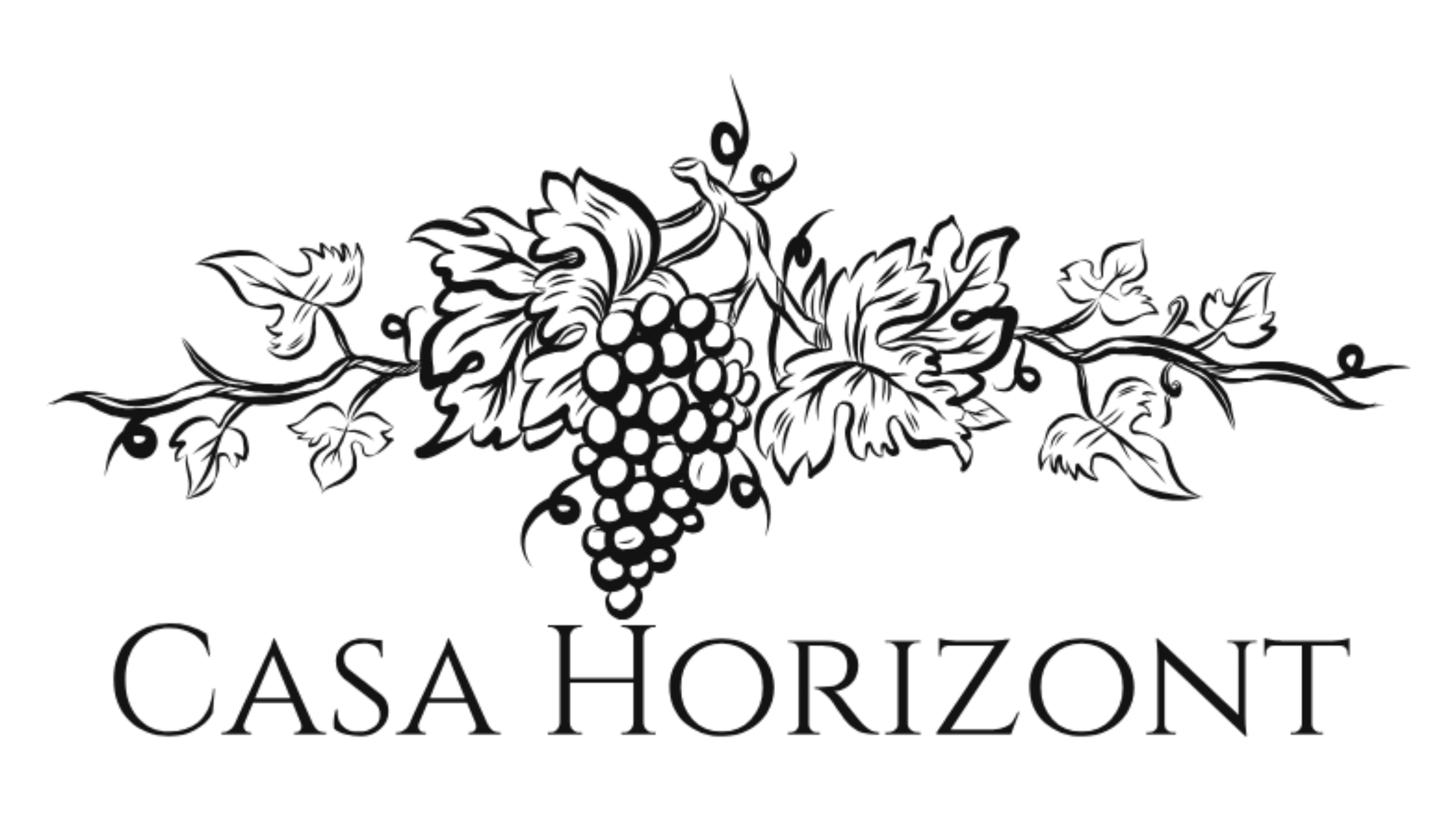 Casa Horizont
